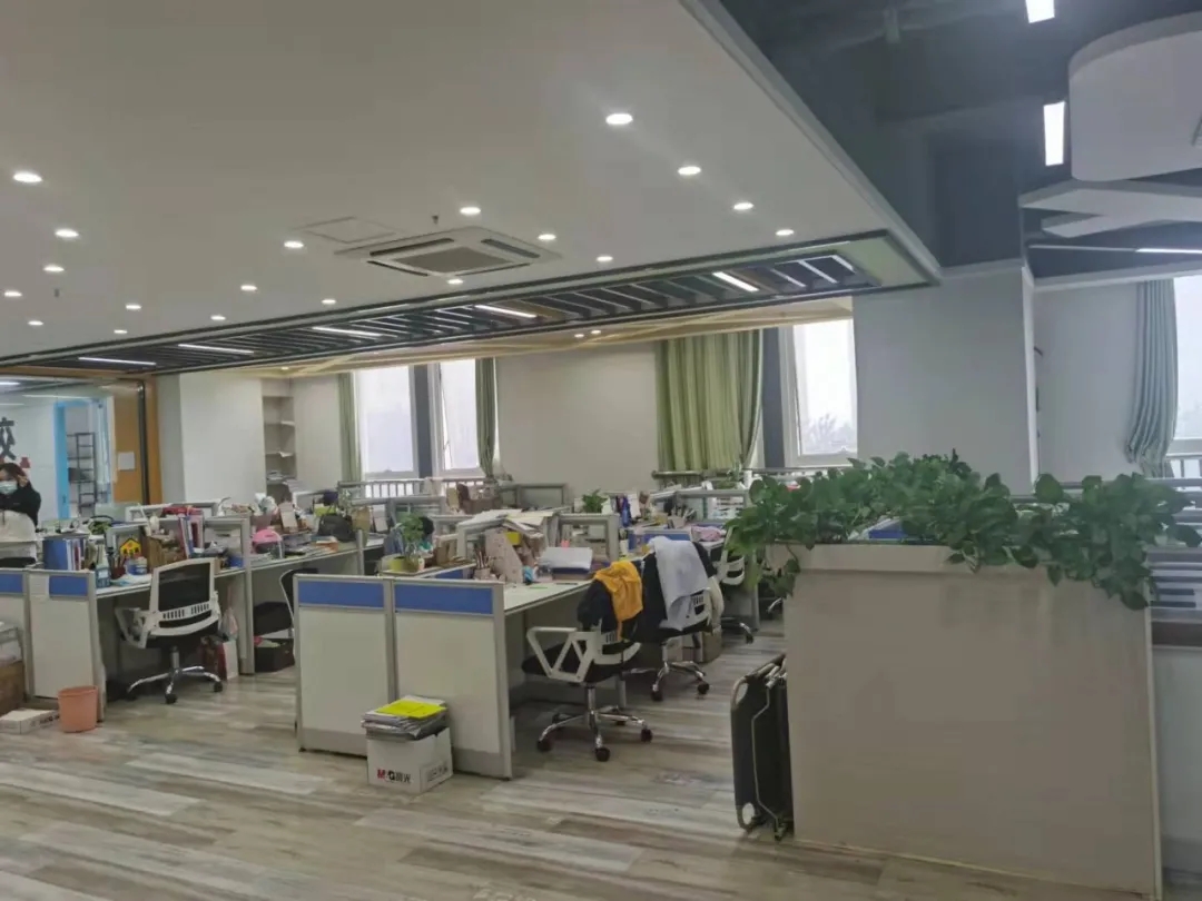 两个黄鹂