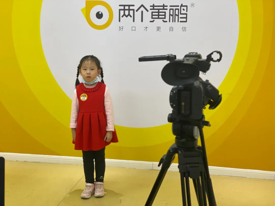 两个黄鹂