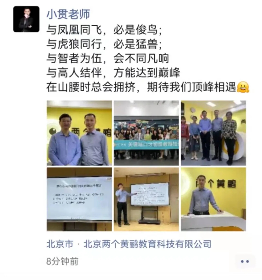 两个黄鹂
