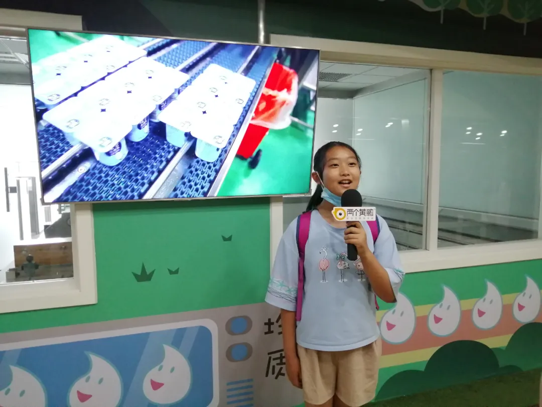 两个黄鹂